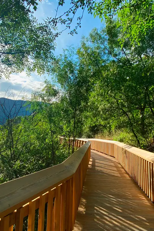 Sendero de madera entre árboles, refugio tranquilo en la sierra.