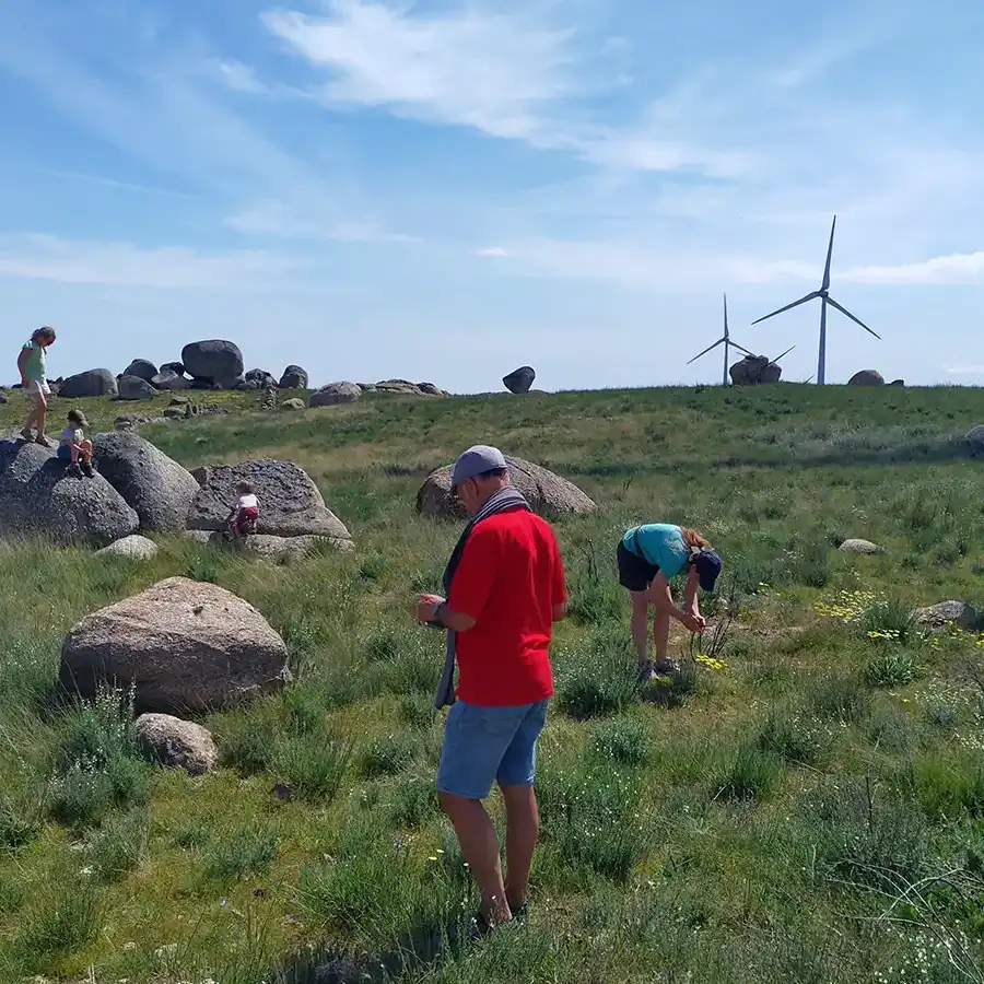 Senderismo y naturaleza en la Serra da Estrela: paisajes agrestes y energía renovable.