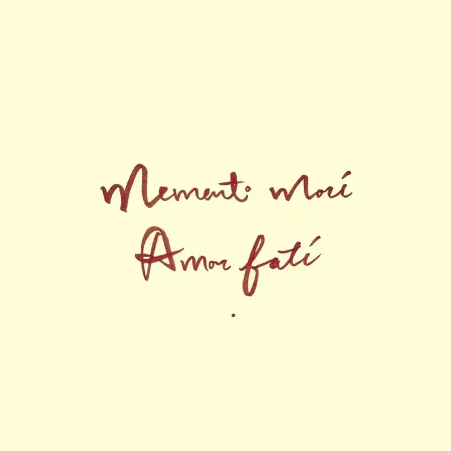 Manuscrito antiguo: caligrafía evocadora de tiempos pasados en la Serra da Estrela.