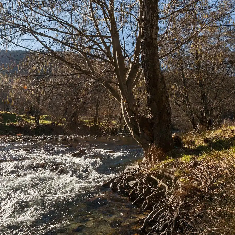 Río serpenteante entre la naturaleza exuberante de la Serra da Estrela.