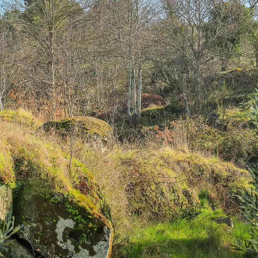 Paisaje montañoso sereno: naturaleza virgen en la Serra da Estrela.