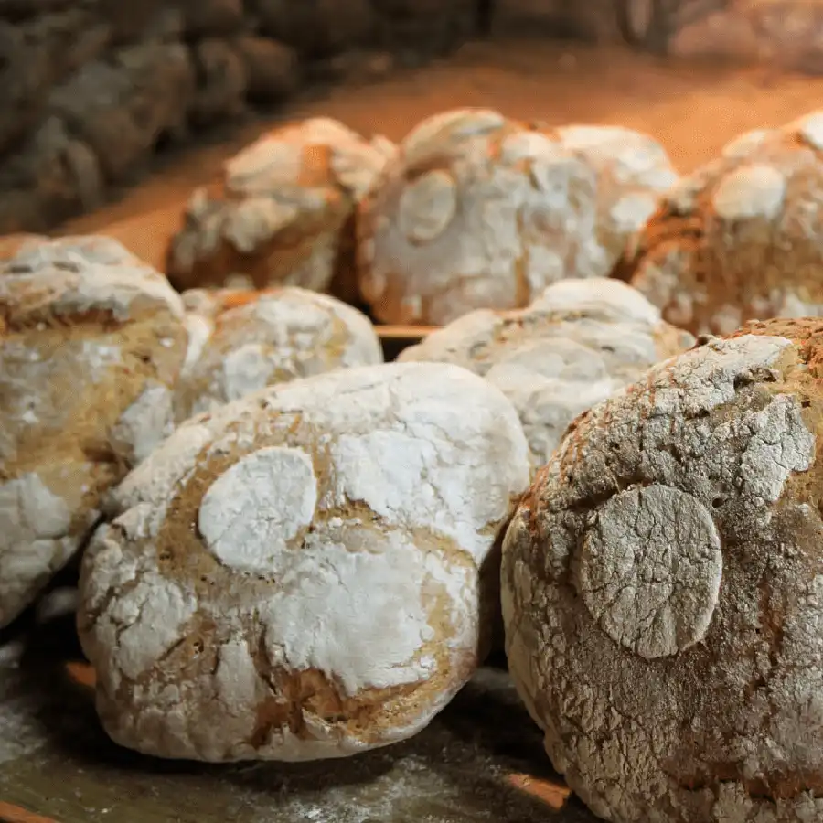 Deliciosos pasteles caseros con frambuesa, recién horneados en la Serra da Estrela.