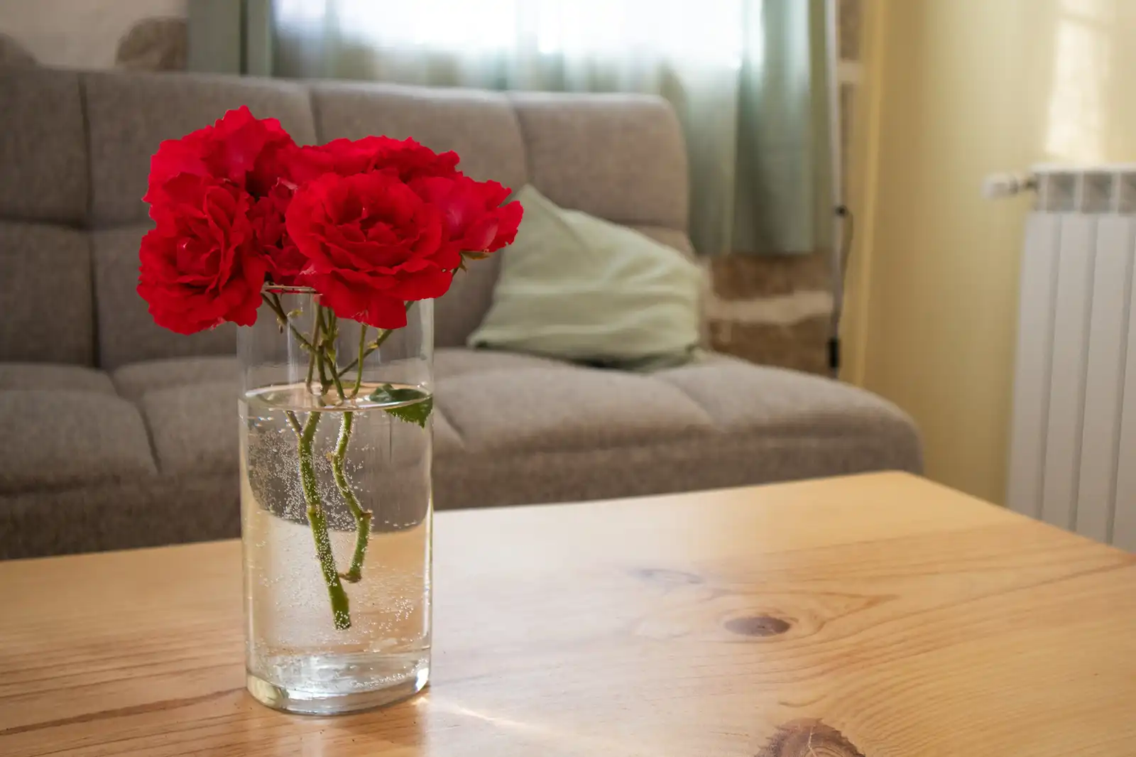 Rosas rojas: un toque de encanto en la Serra da Estrela. Rosas rojas en jarrón: un detalle romántico en el corazón de la Serra da Estrela.