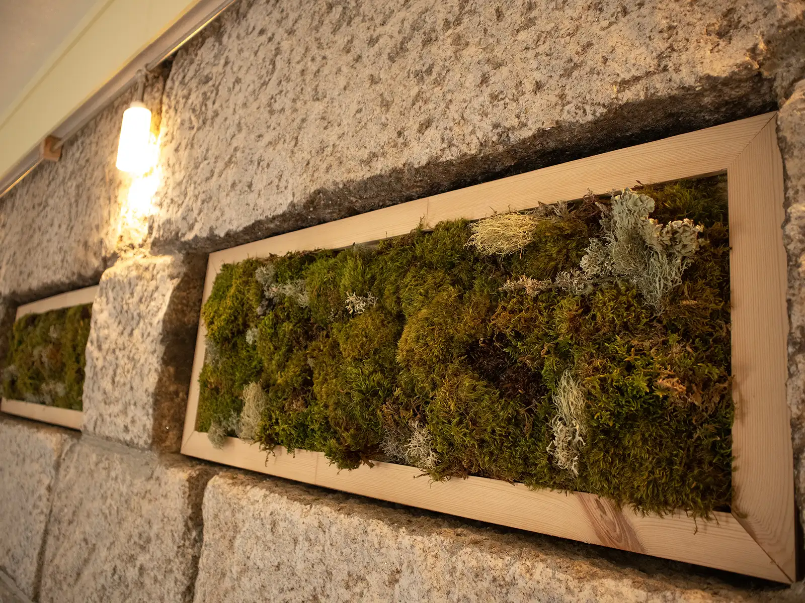 Zezere apartment Zezere apartment, moss art