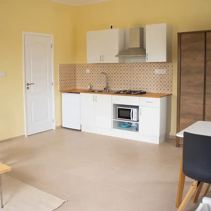 apartments, modern, fully equipped, private kitchens, bathrooms, bedrooms, terraces, climate control, smart lighting, coziness, 'edible' design features.