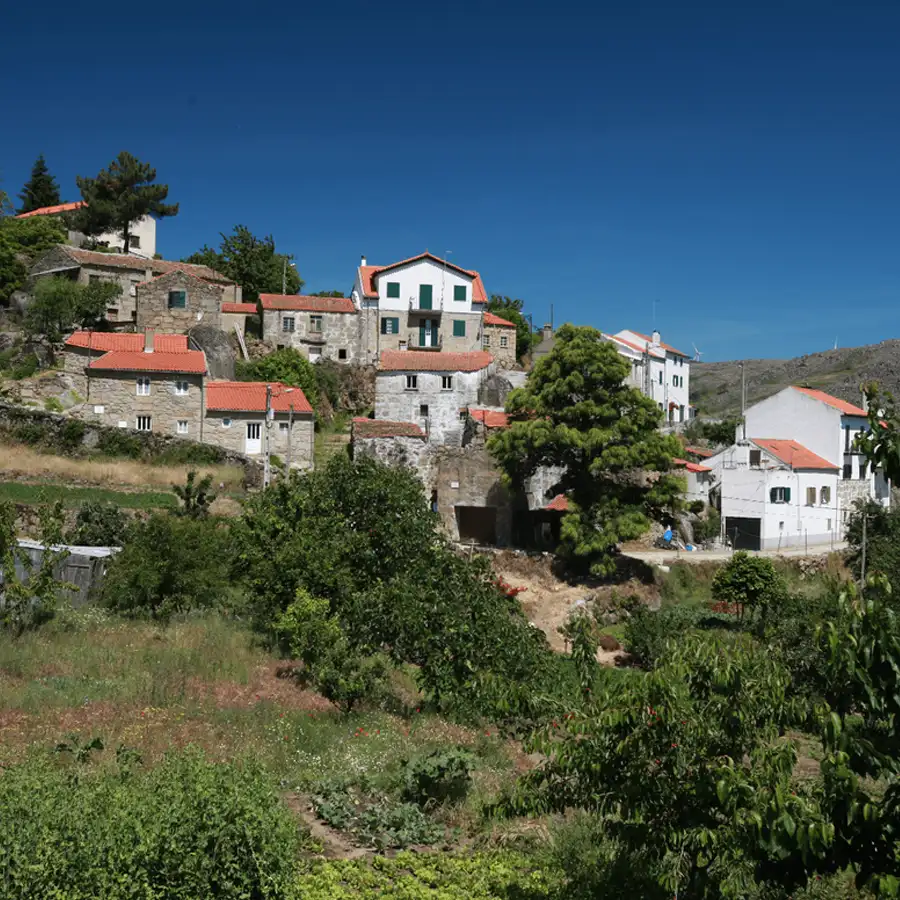 Trinta