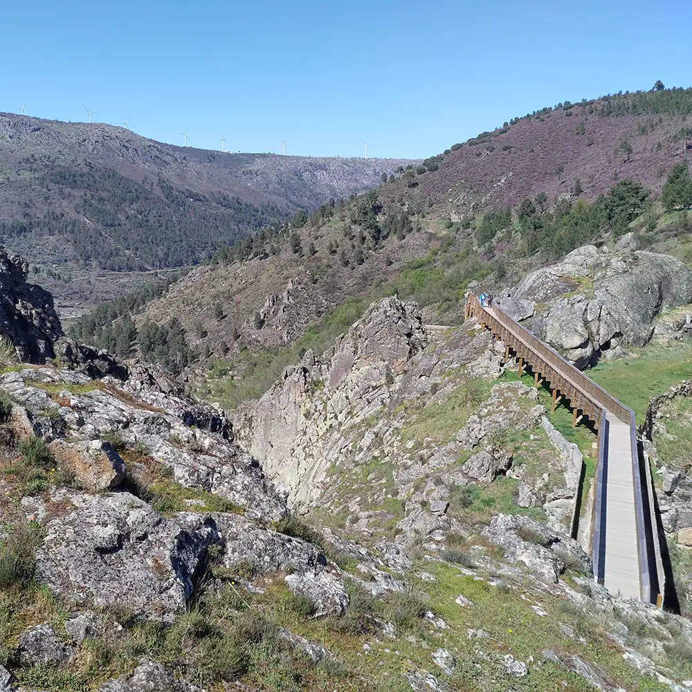 Passadicos do mondego board walk
