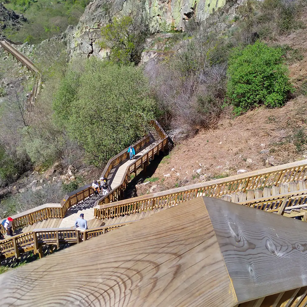 Passadicos do mondego board walk