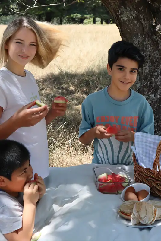 Picnic spots