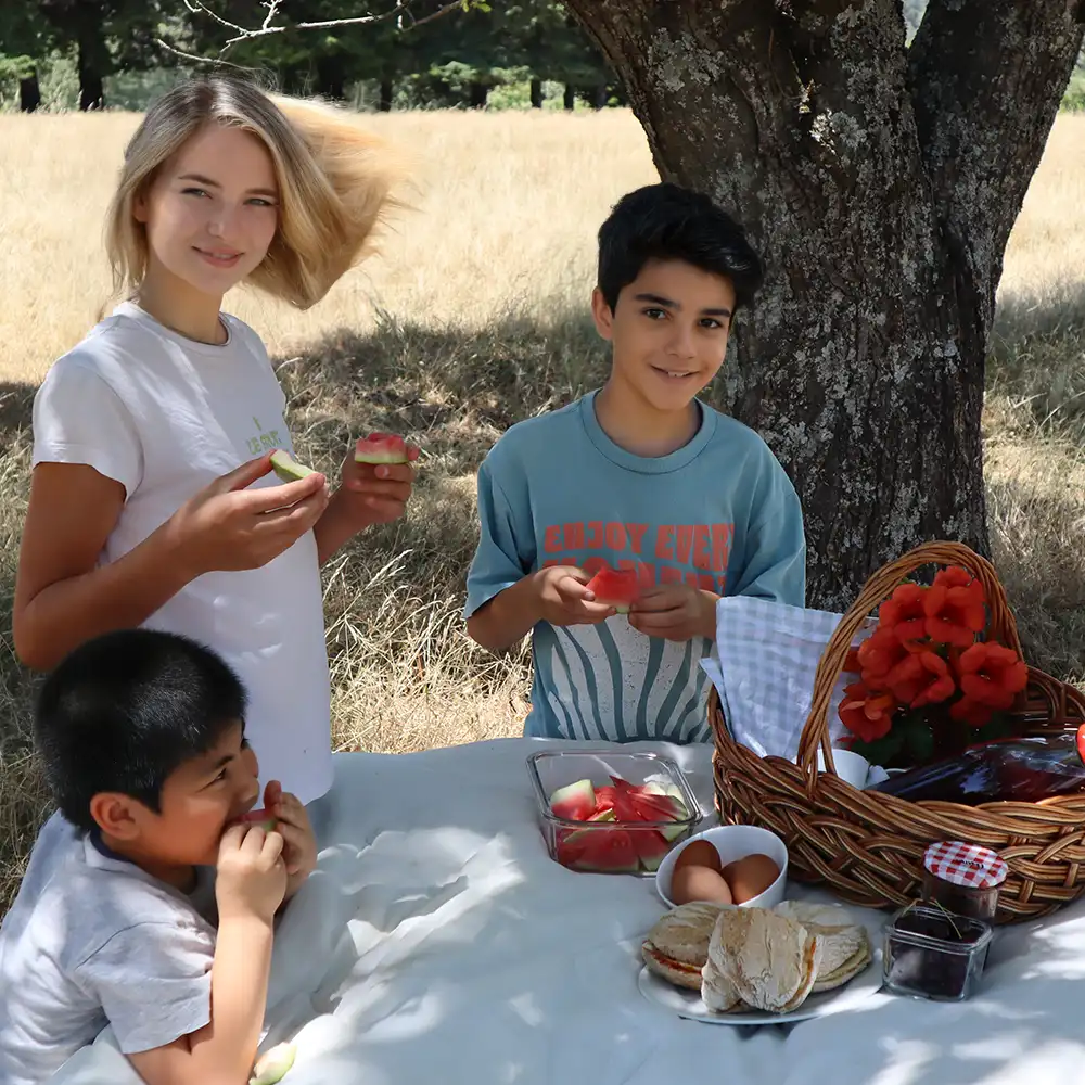 Picnic under the chestnut trees