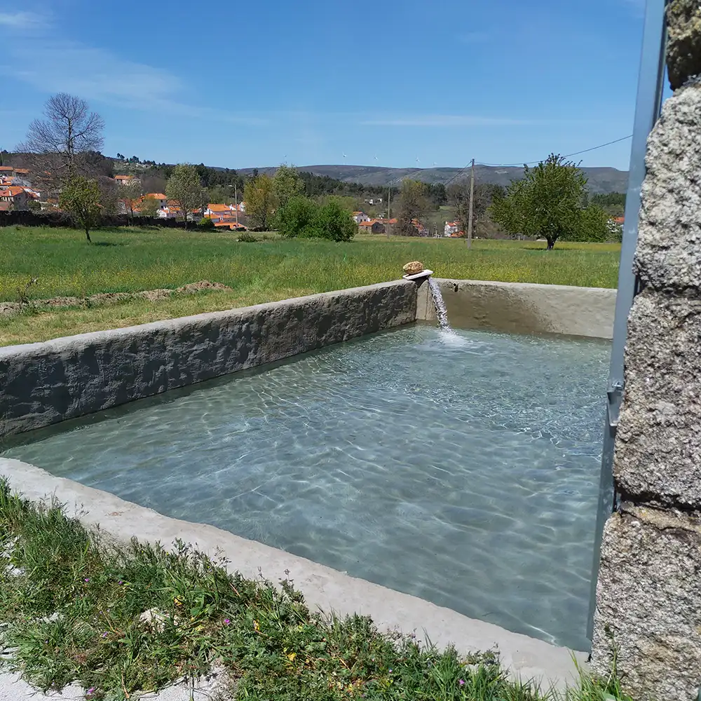 Plunge-pool