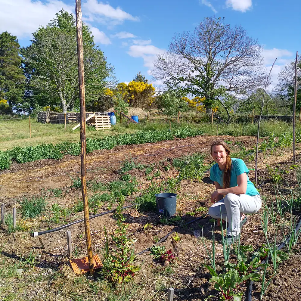 Our market garden