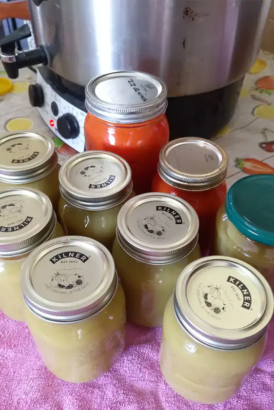 Apple compote making