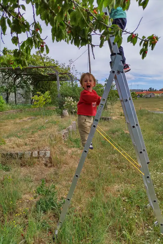 Cherry picking