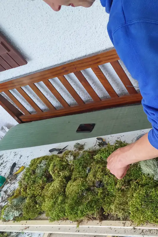 Moss art