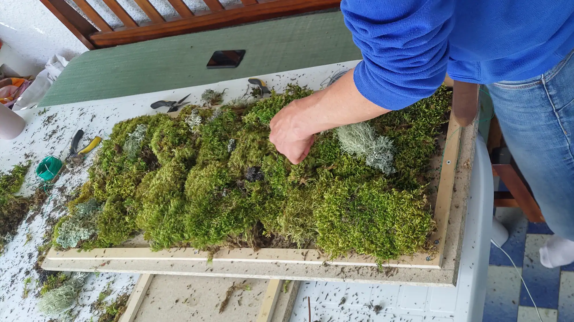 Moss art