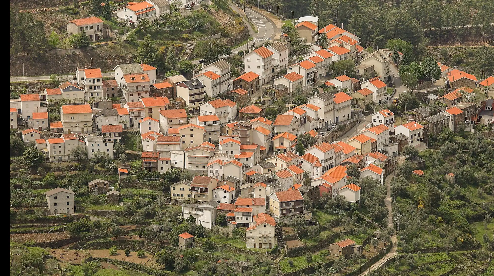Teixeira hillside village with a backdrop of dense pine forests