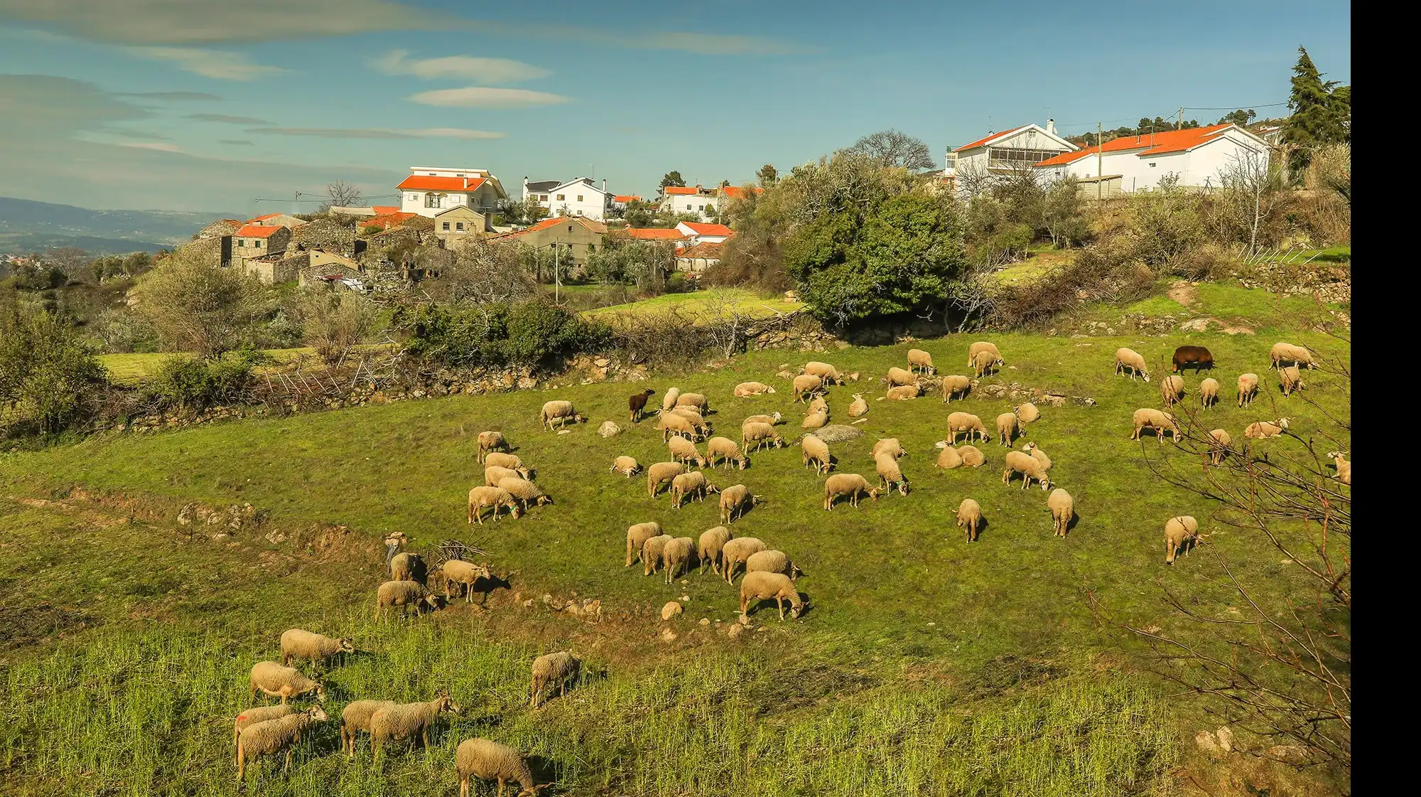 Vide Entre Vinhas village nestled among vineyards and gentle hills