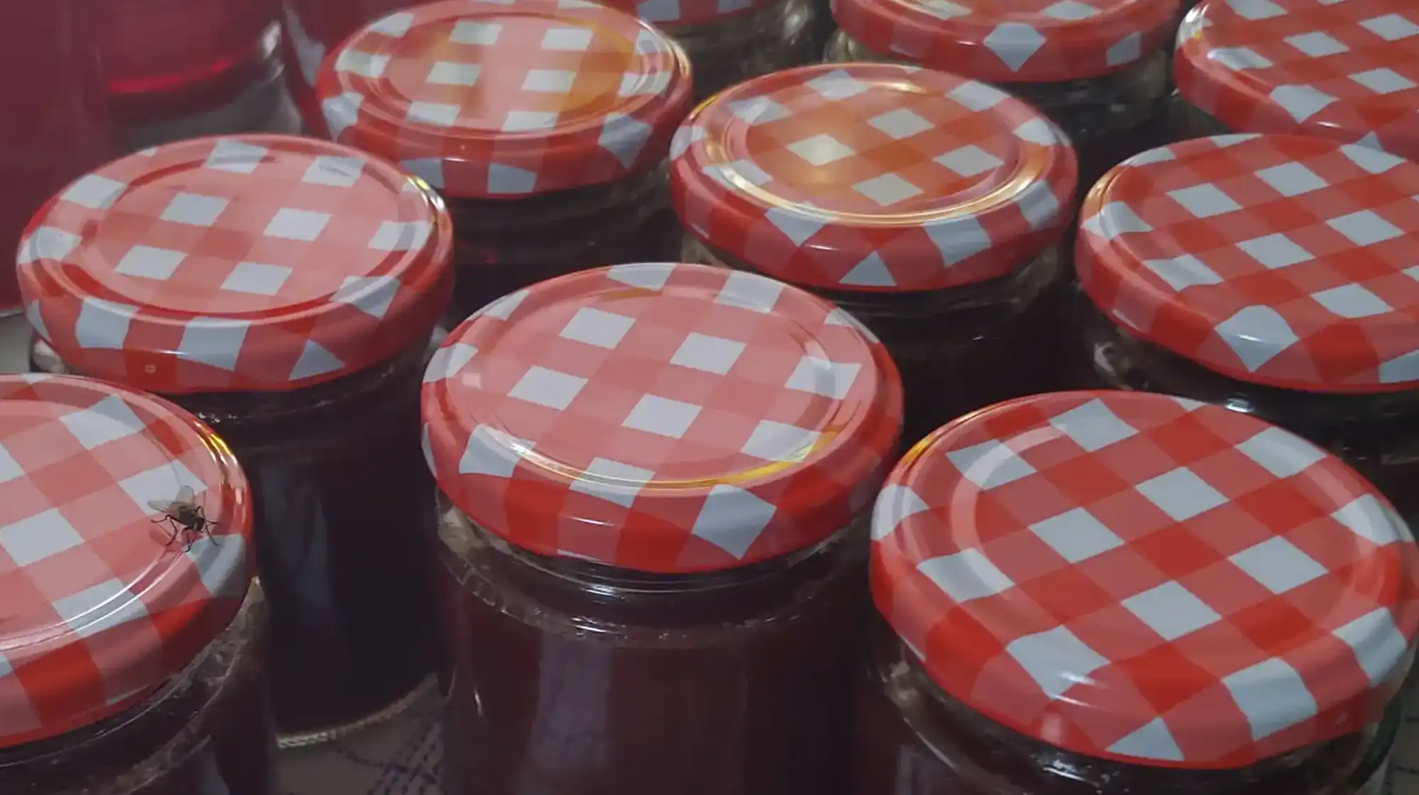 Jam and juice making workshop for kids using fresh fruits from the farm