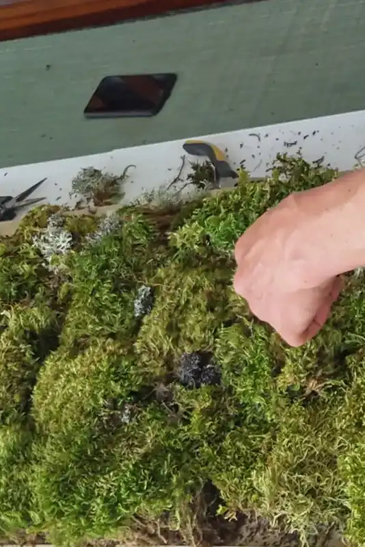 Moss art crafting session connecting kids with natural textures and forest materials