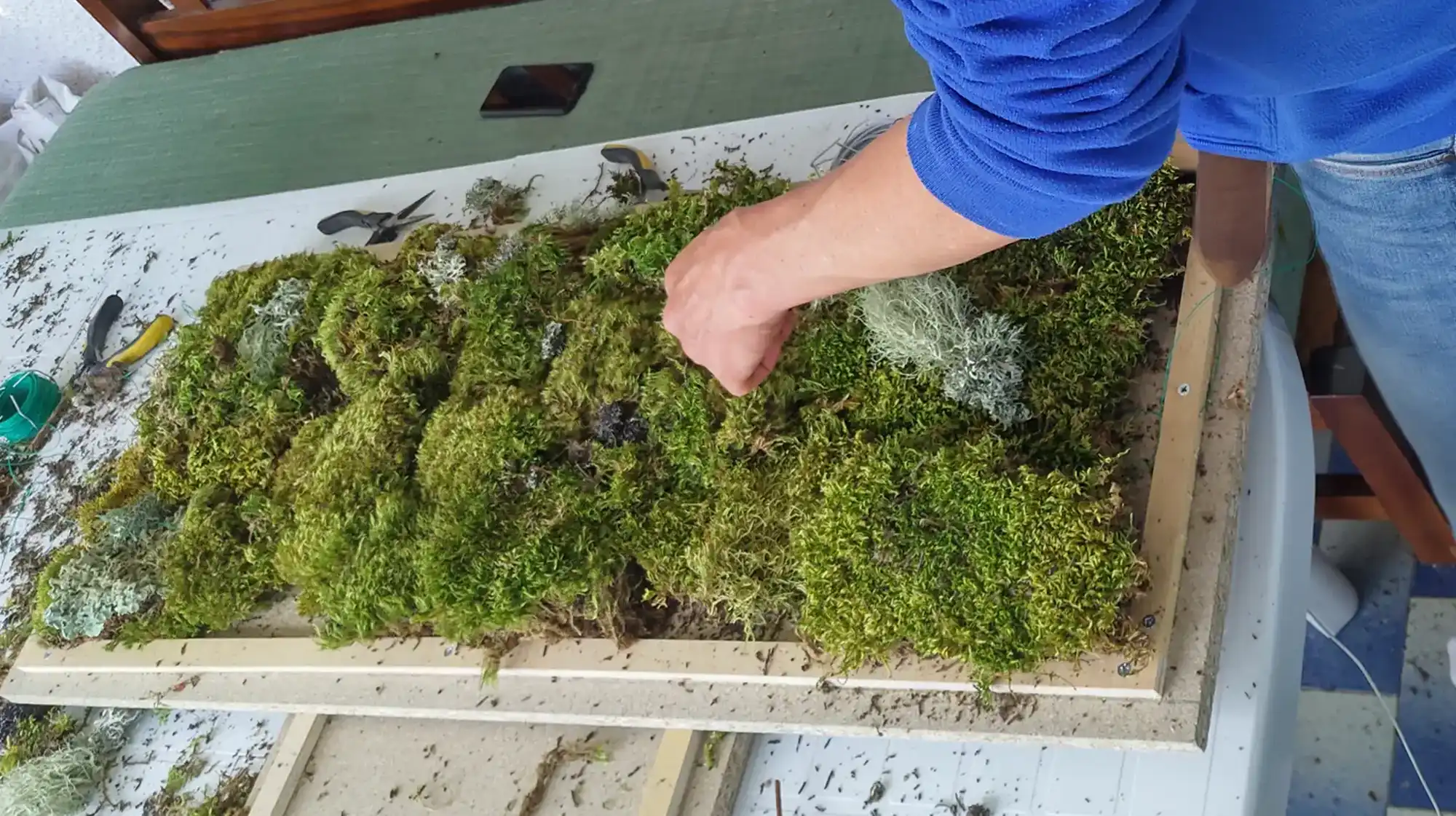 Moss art crafting session connecting kids with natural textures and forest materials