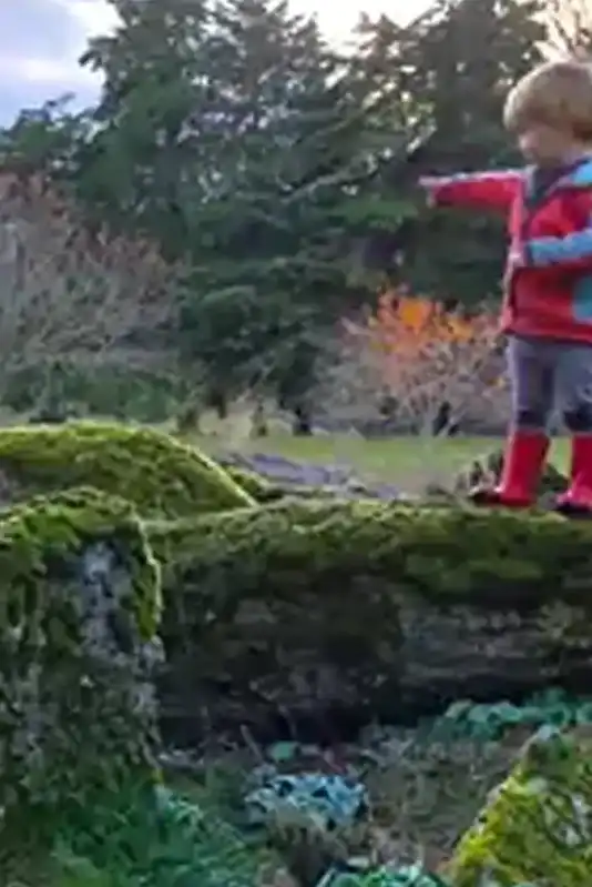 Puzzle walks guided discovery trails for children combining nature and problem-solving