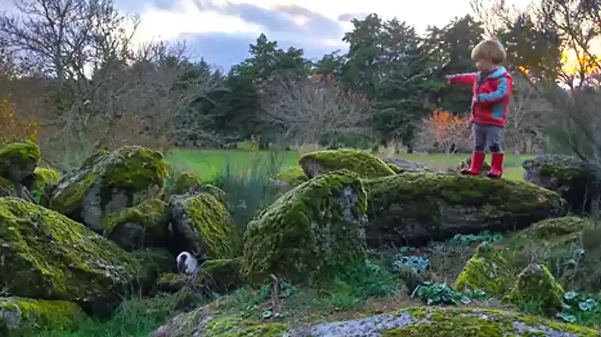 Puzzle walks guided discovery trails for children combining nature and problem-solving