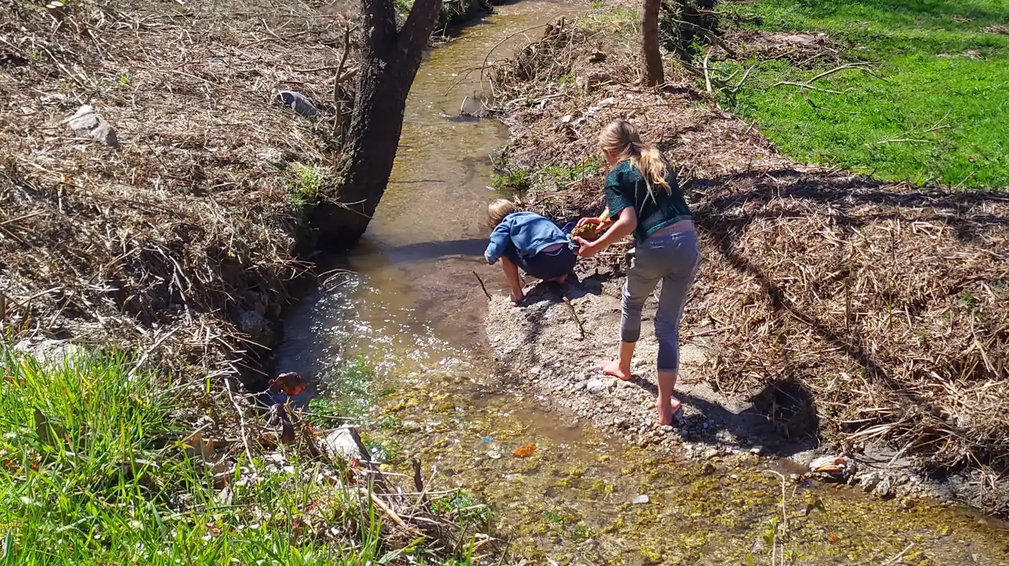 Water wheel engineering for children introducing low-tech hydropower concepts