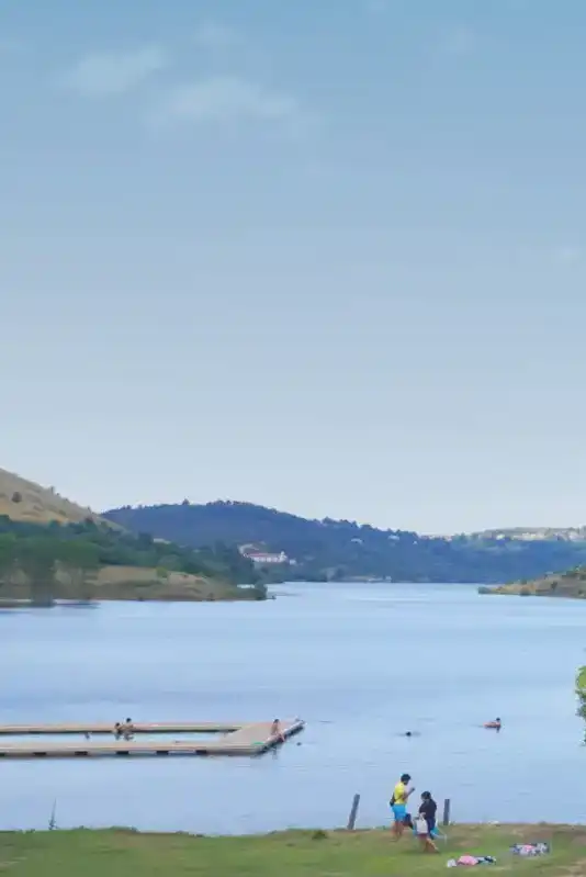 Natación