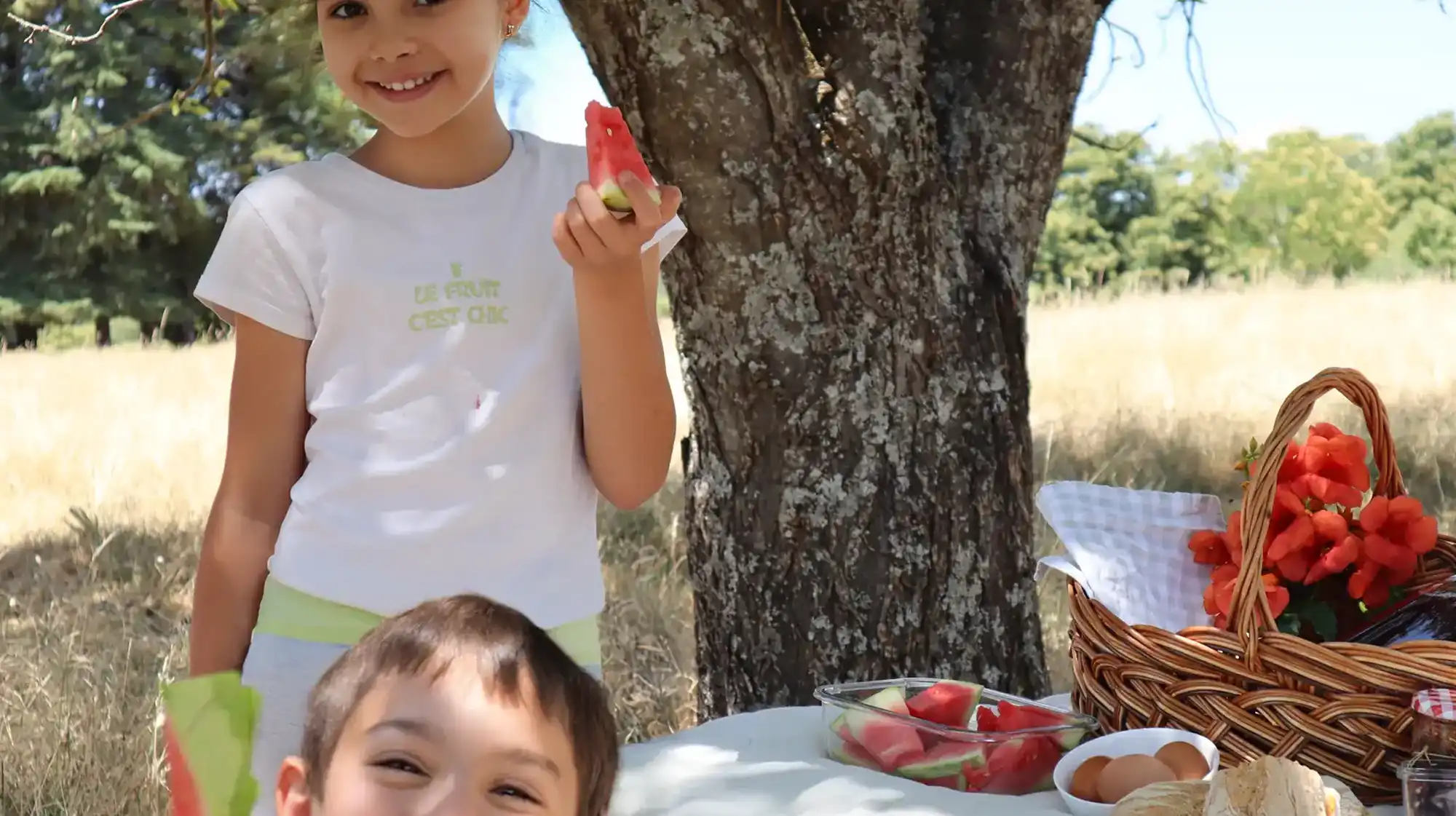 Picnic blanket under chestnut trees with a basket of fresh bread, cheese, and fruit at Starbase18.