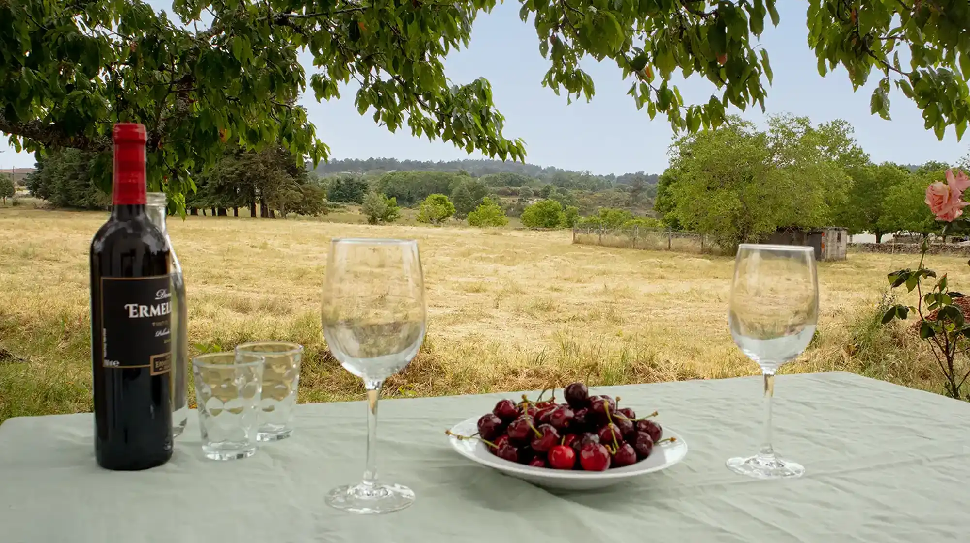 Zezere apartment sunny terrace under cherry trees with private outdoor space at Starbase18