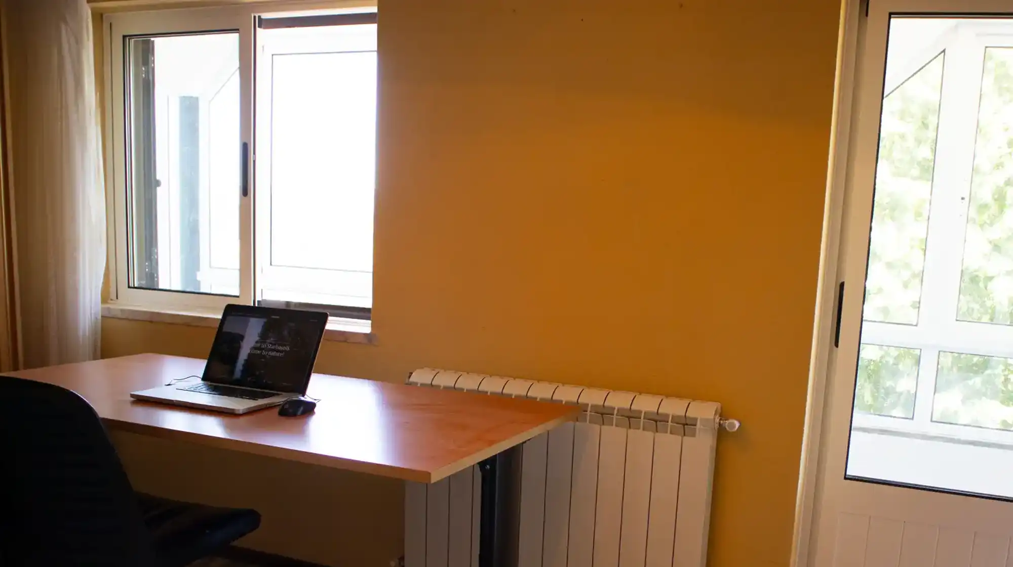 Co-working Space, A bright, shared desk area with laptops, plants, and natural light.