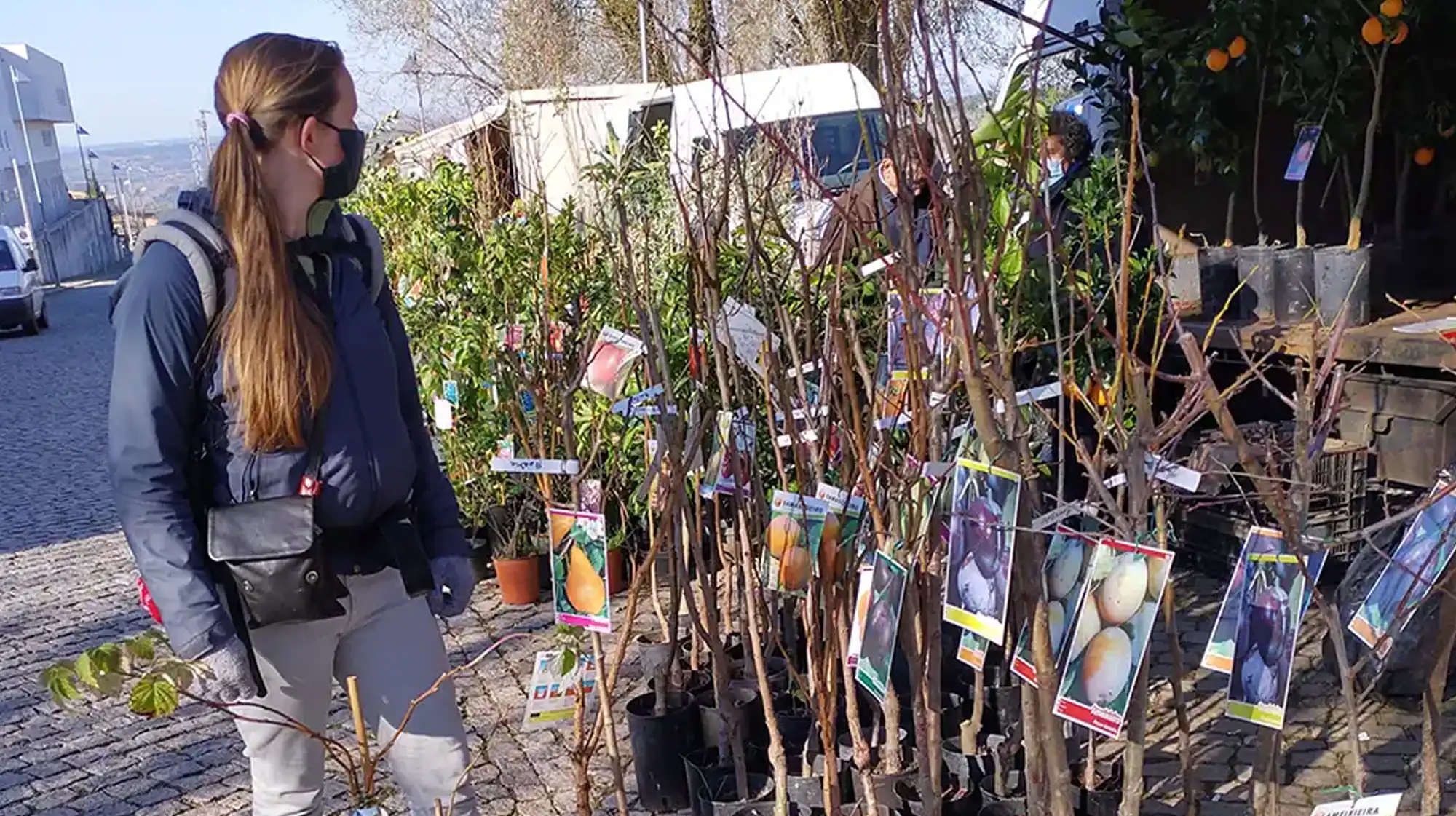 Food forest providing fresh organic produce and biodiversity at Starbase18 B&B in Portugal