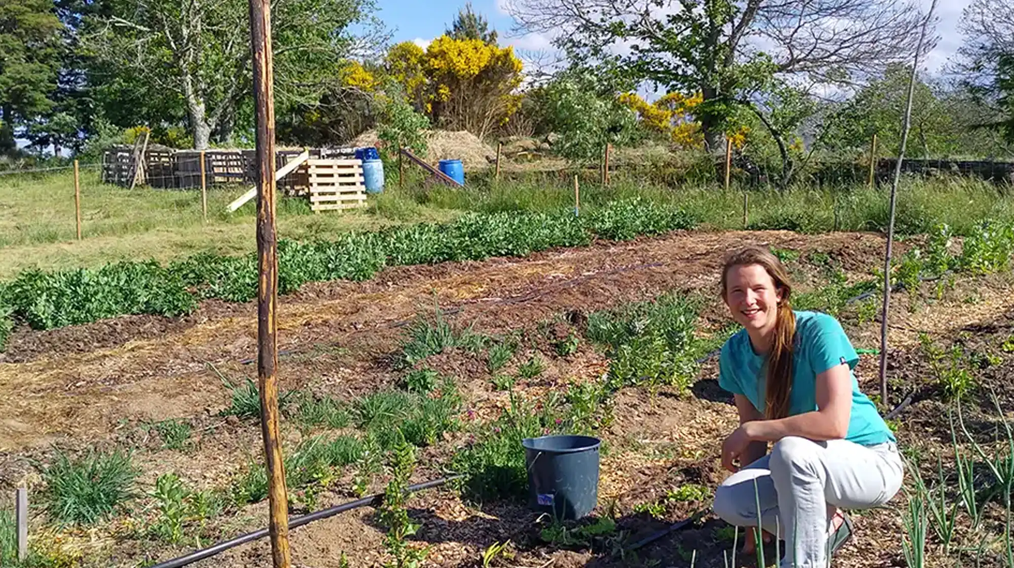Market garden producing seasonal vegetables for guests and community at Starbase18 B&B