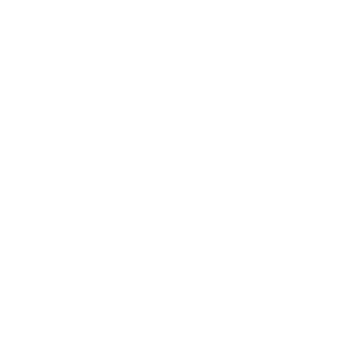 Shuttle bus & taxi's
