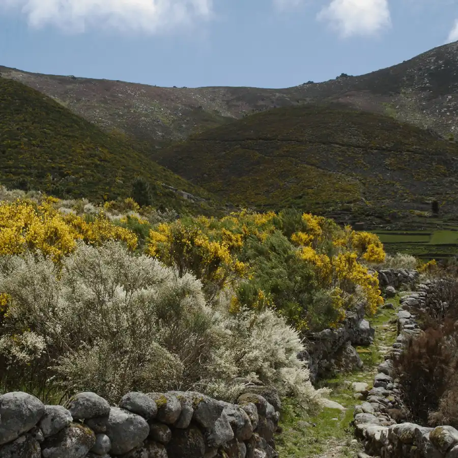 Rustieke heuvels in de Serra da Estrela, idyllisch en vredig landschap.