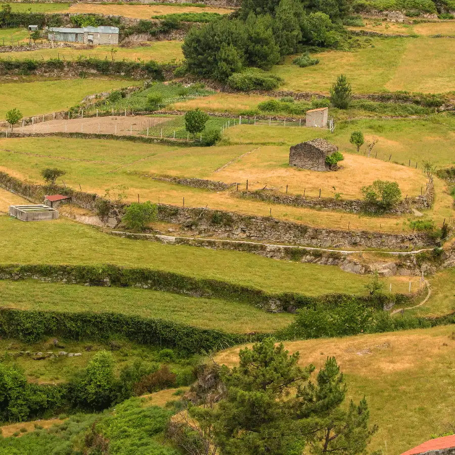 Traditioneel landbouwlandschap met steile hellingen en oude stenen muren.