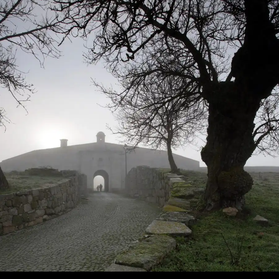 Een nevelig landschap met oude ruïnes, een wandelaar op weg naar een mysterieus verleden.
