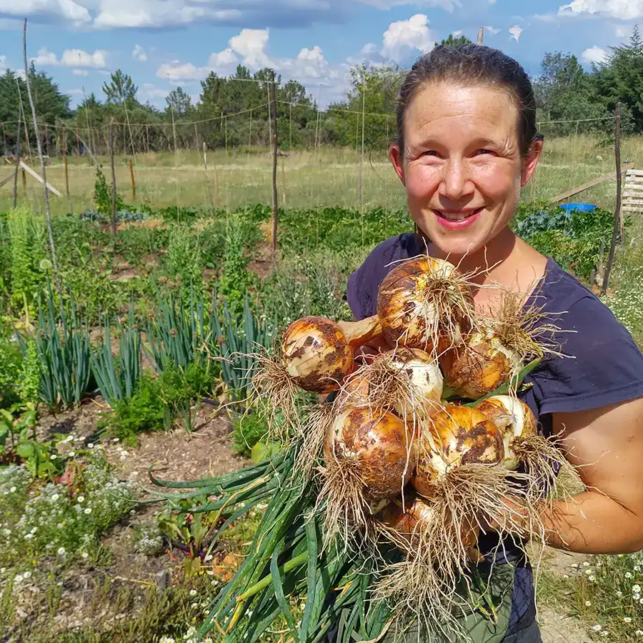 Een mooie uien oogst, voldoening na het werk.