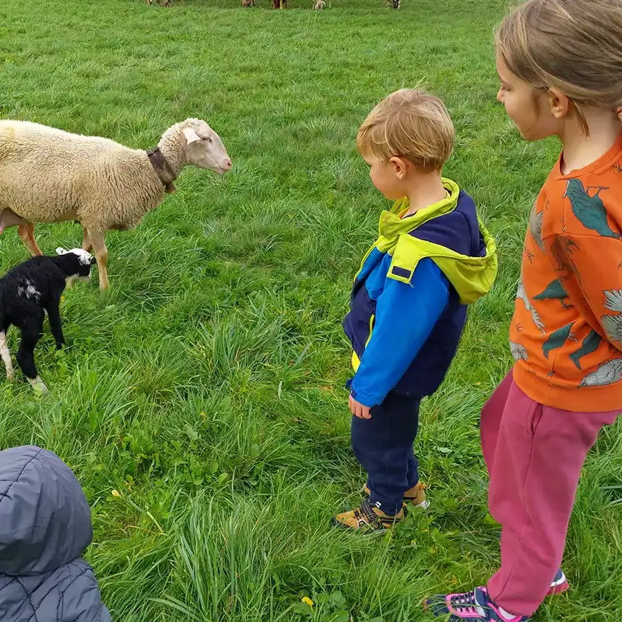 Spelende kinderen en schapen in een idyllisch landschap in de Serra da Estrela.