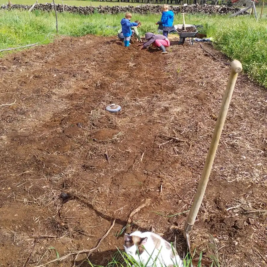 Spelende kinderen op een boerderij.