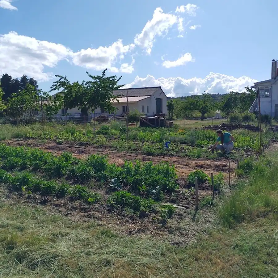 Een moment van rust in de moestuin