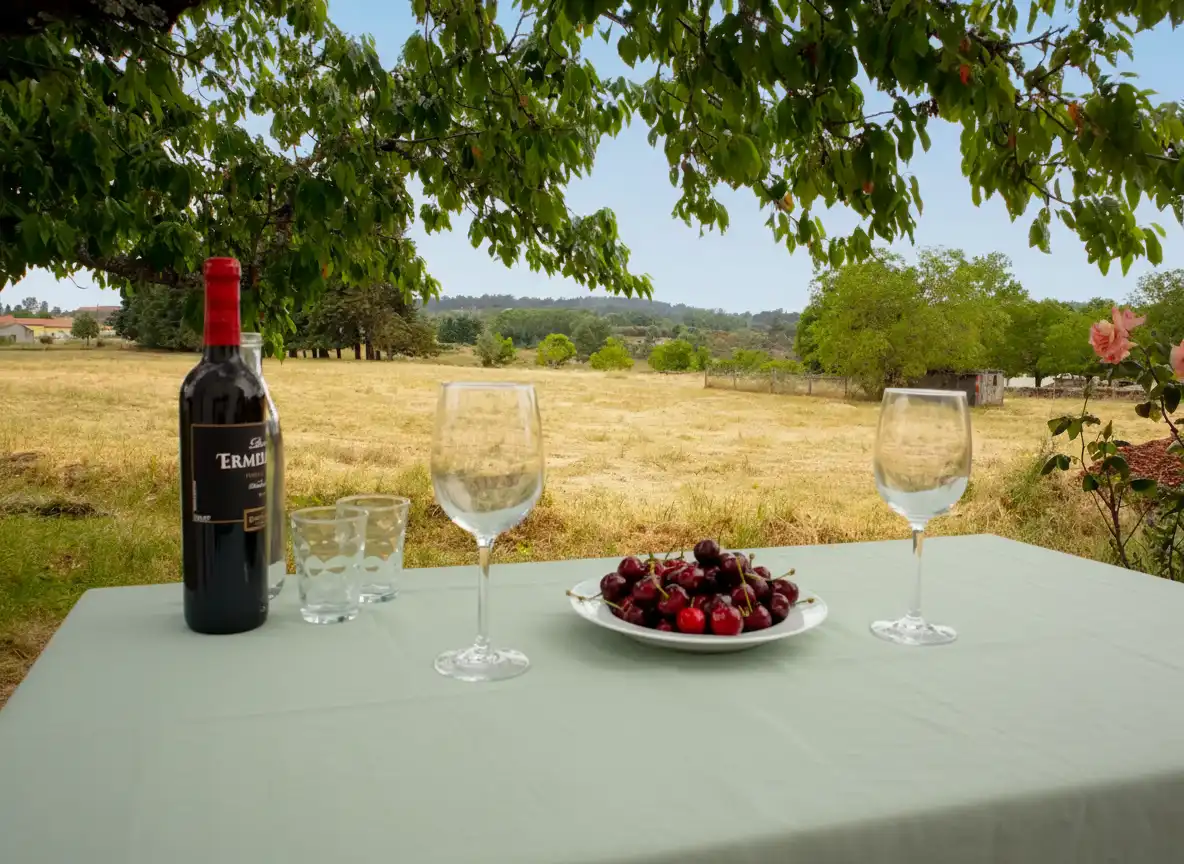 Zezere apartment Zezere apartment, private terrace