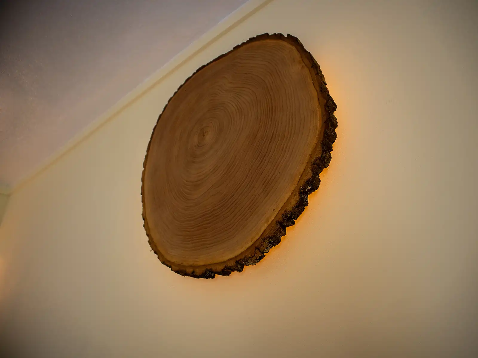 Tronco de árvore: beleza natural e textura na Serra da Estrela. Tronco de árvore talhado, textura natural e padrões distintos na serra.