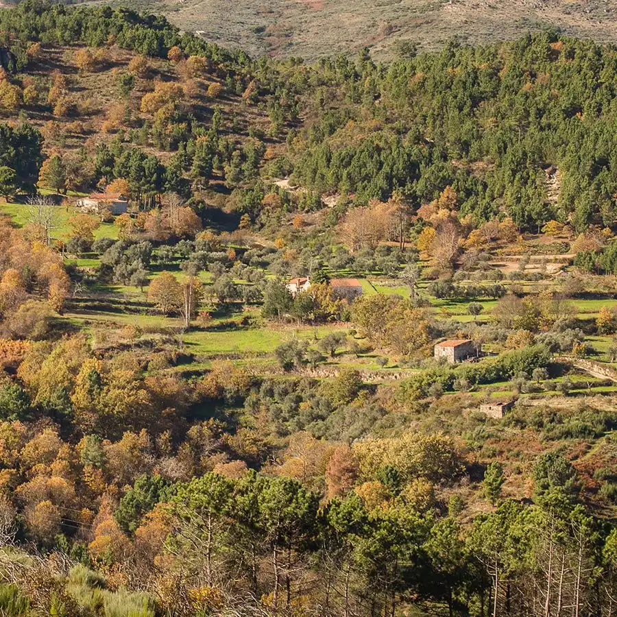 Casas tradicionais e paisagem serena na montanha, refúgio tranquilo no coração de Portugal.