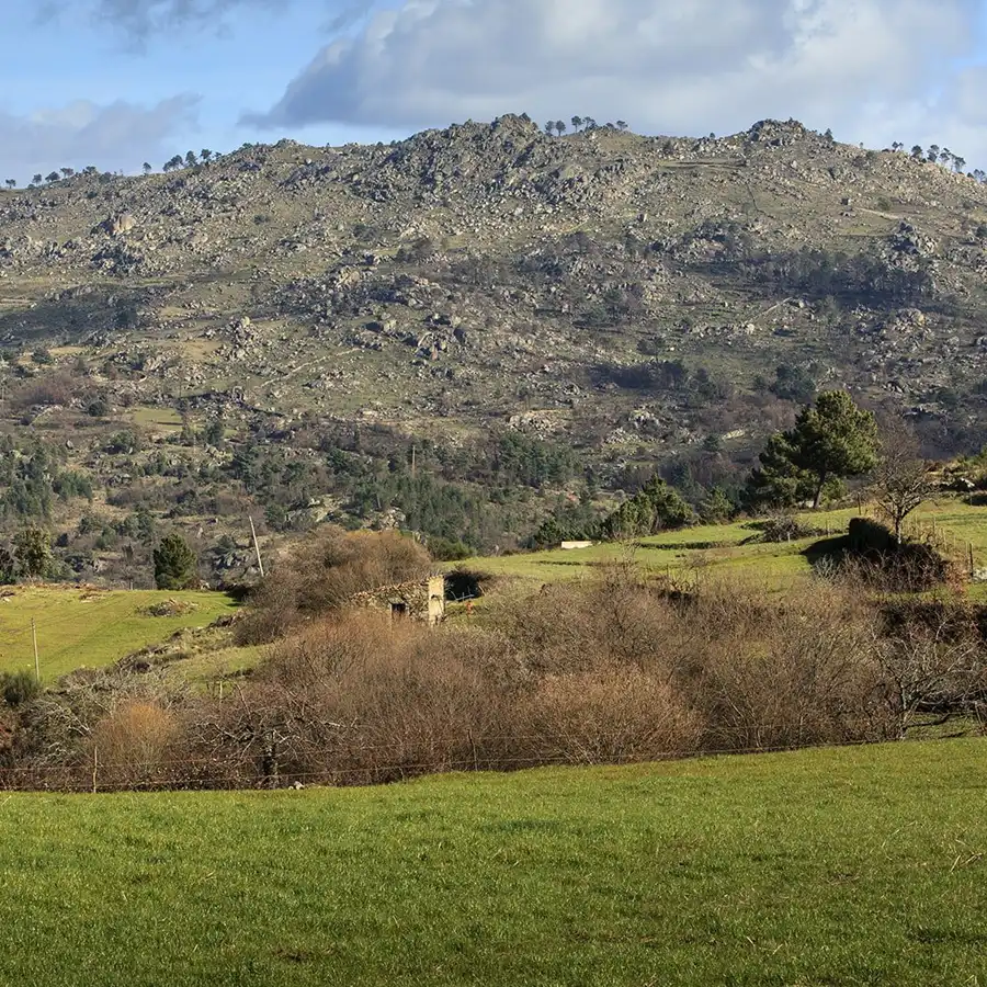 Paisagem serra estendendo-se até ao horizonte, refúgio de paz e natureza.