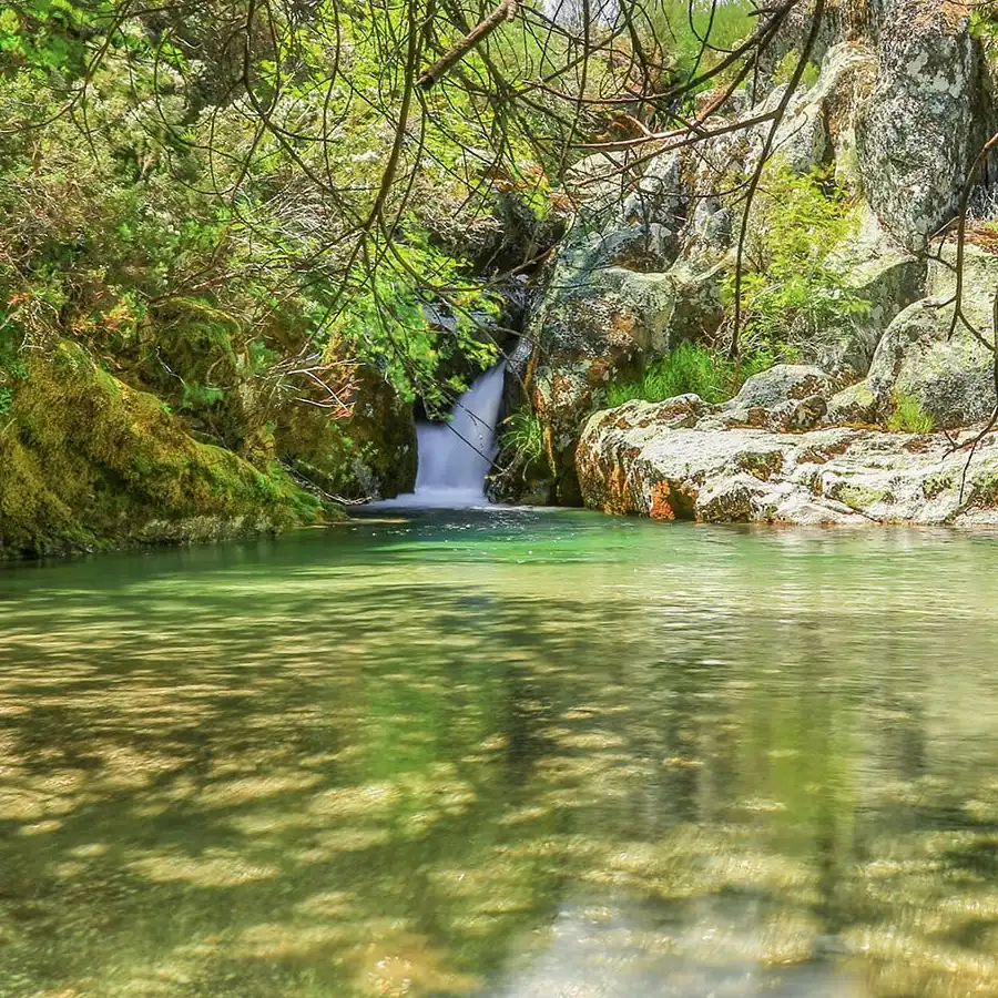 Cascata cristalina a fluir por entre a natureza selvagem da Serra da Estrela.