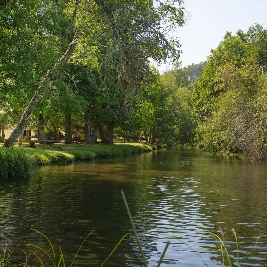 Refúgio natural: rio calmo serpenteia por entre a floresta da Serra da Estrela.