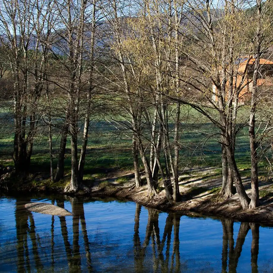Refúgio sereno na montanha: a natureza em flor, perfeito para relaxar.