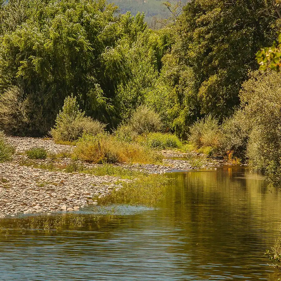 Refúgio natural na Serra da Estrela, com rio sereno e vegetação exuberante.